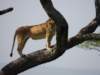 dscn4552_small.jpg