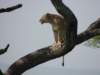 dscn4570_small.jpg