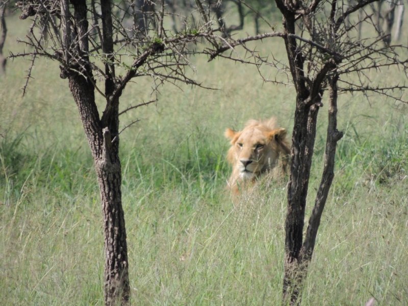 dscn4580.jpg