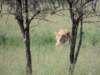 dscn4580_small.jpg