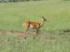dscn4589_small.jpg