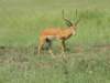 dscn4591_small.jpg