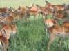 dscn4594_small.jpg