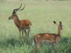 dscn4595_small.jpg