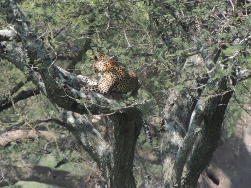 dscn4604.jpg