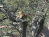 dscn4604_small.jpg
