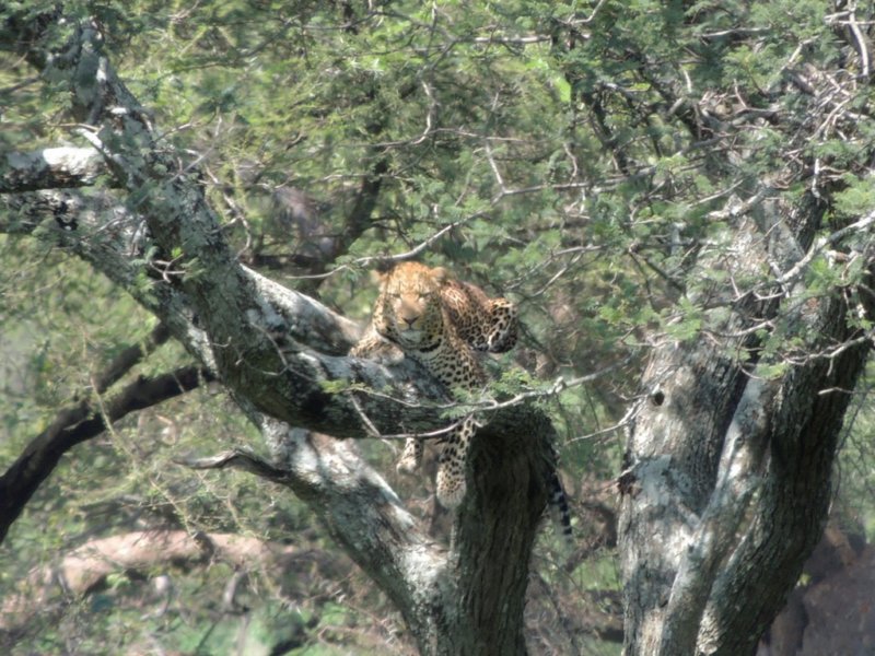 dscn4609.jpg