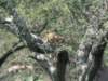 dscn4609_small.jpg