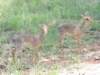 dscn4622_small.jpg