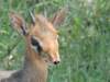 dscn4625_small.jpg