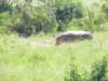 dscn4626_small.jpg