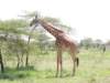 dscn4635_small.jpg