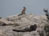 dscn4645_small.jpg