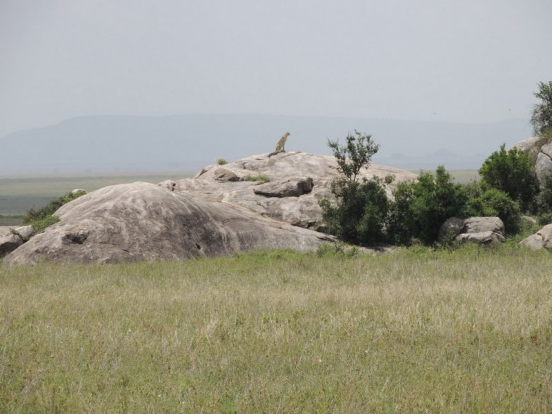dscn4646.jpg