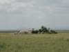 dscn4647_small.jpg