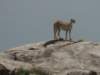 dscn4653_small.jpg