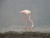 dscn4691_small.jpg