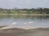 dscn4694_small.jpg