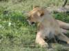 dscn4722_small.jpg