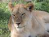 dscn4725_small.jpg