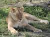dscn4727_small.jpg