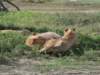 dscn4732_small.jpg