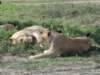 dscn4734_small.jpg