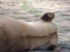 dscn4736_small.jpg