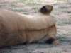 dscn4737_small.jpg