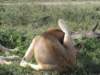 dscn4741_small.jpg