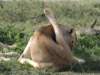 dscn4742_small.jpg