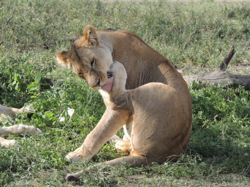 dscn4744.jpg