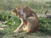 dscn4744_small.jpg