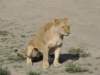 dscn4750_small.jpg