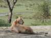 dscn4759_small.jpg