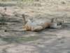 dscn4761_small.jpg