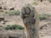 dscn4766_small.jpg