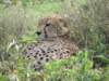 dscn4784_small.jpg