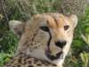 dscn4790_small.jpg