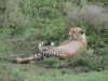 dscn4799_small.jpg