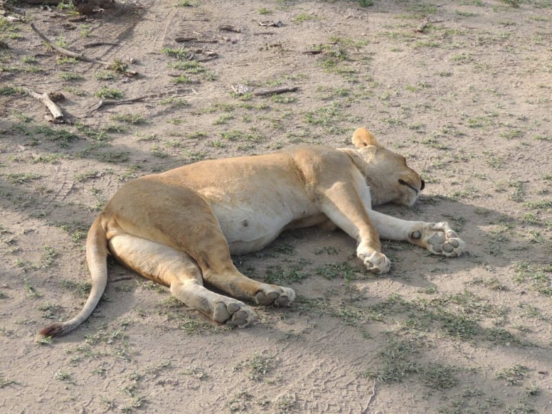 dscn4814.jpg