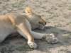 dscn4816_small.jpg