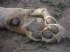 dscn4817_small.jpg