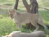 dscn4820_small.jpg