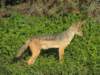 dscn4833_small.jpg