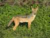 dscn4835_small.jpg