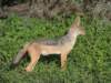 dscn4836_small.jpg
