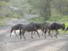 dscn4847_small.jpg