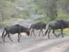 dscn4849_small.jpg