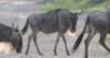 dscn4849b_small.jpg